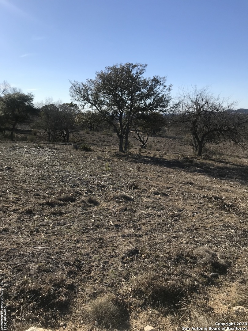 Lot 49 Elk Mountain Road Pipe Creek, TX 78063 - Photo 3 of 4 a view of a yard with a tree
