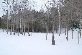 6459 Burns Line Road Lexington, MI 48450 - Photo 9 of 9 599424-8.JPG