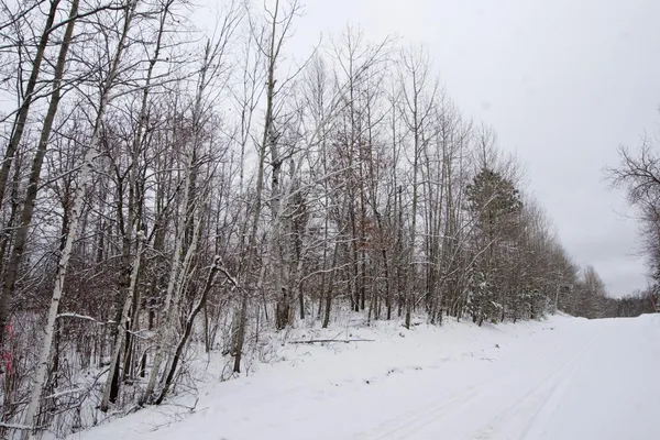 $78,700 | Tbd Sheridan Woods Lane Northeast, Outing, MN 56662