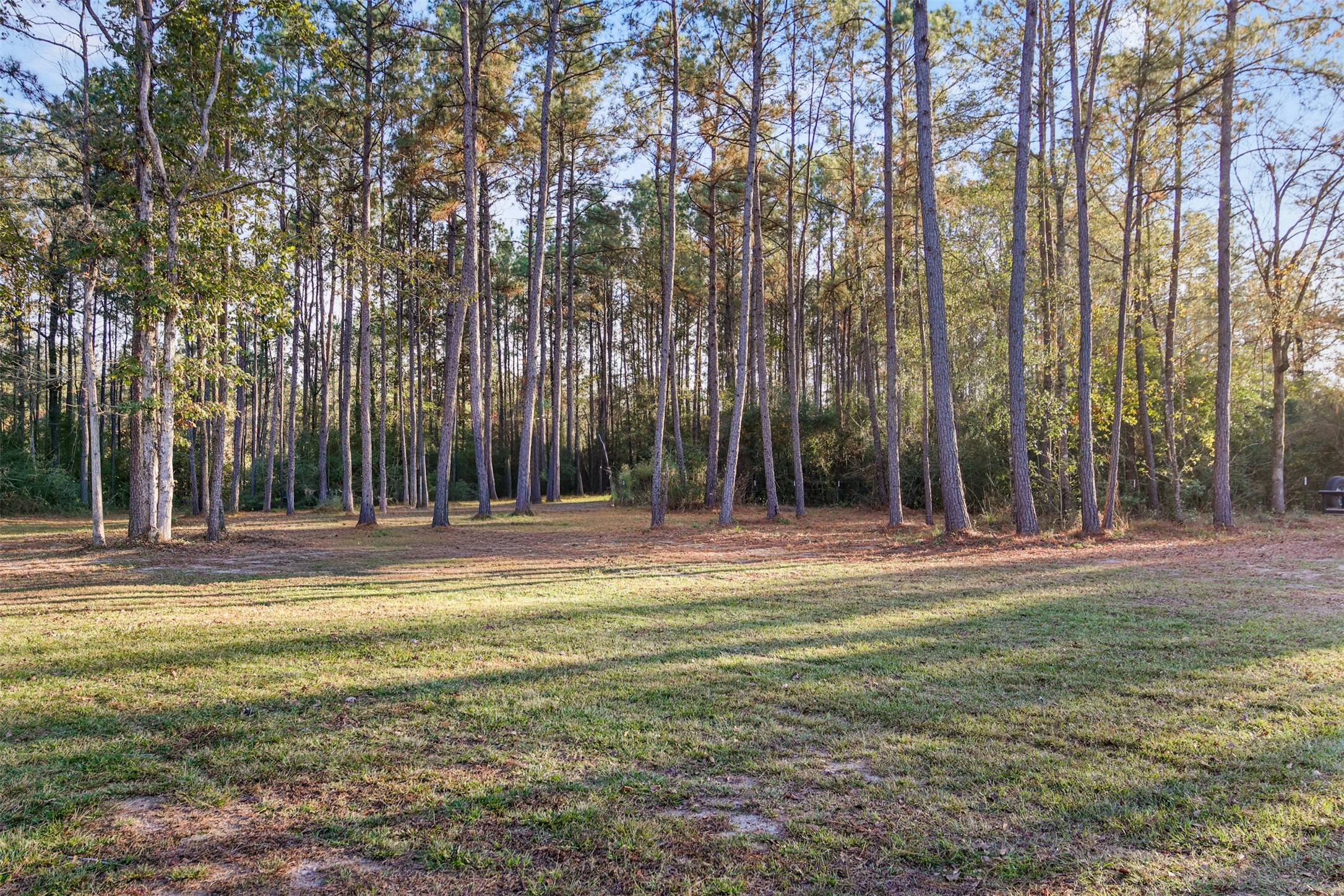 4219 Cross Cut Cleveland, TX 77328 - Photo 26 of 34 a view of a swimming pool and a yard