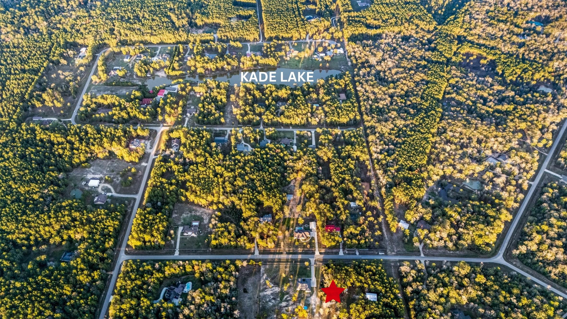 4219 Cross Cut Cleveland, TX 77328 - Photo 29 of 34 view of city