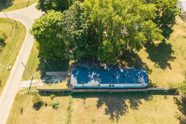 a view of a yard with plants and large trees