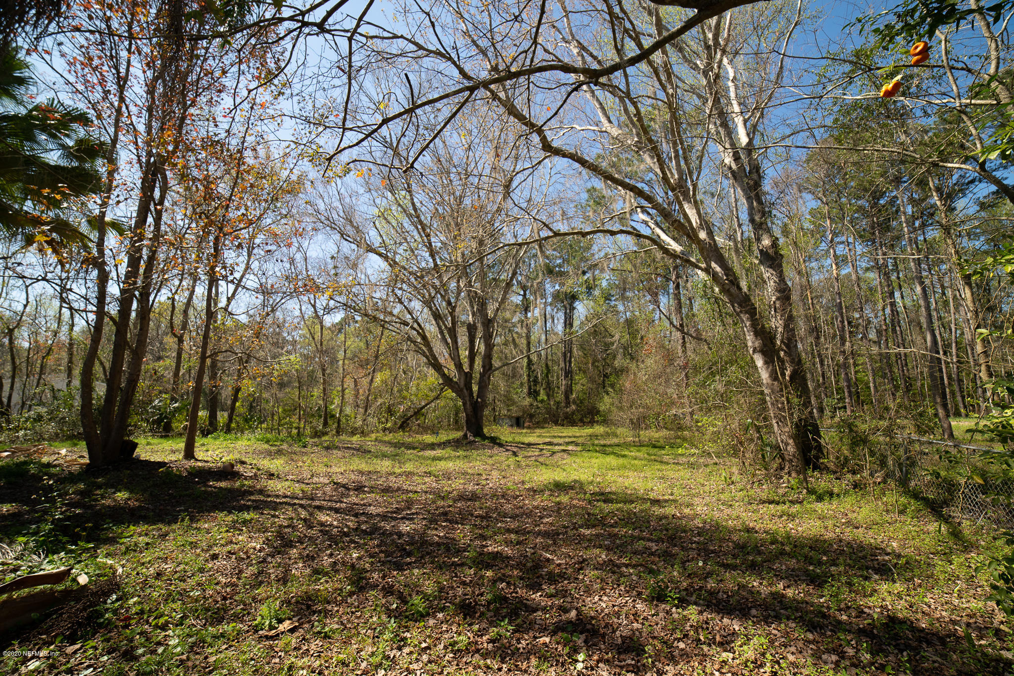 13450 Pate Road West Jacksonville, FL 32226 - Photo 11 of 11 DSC01481