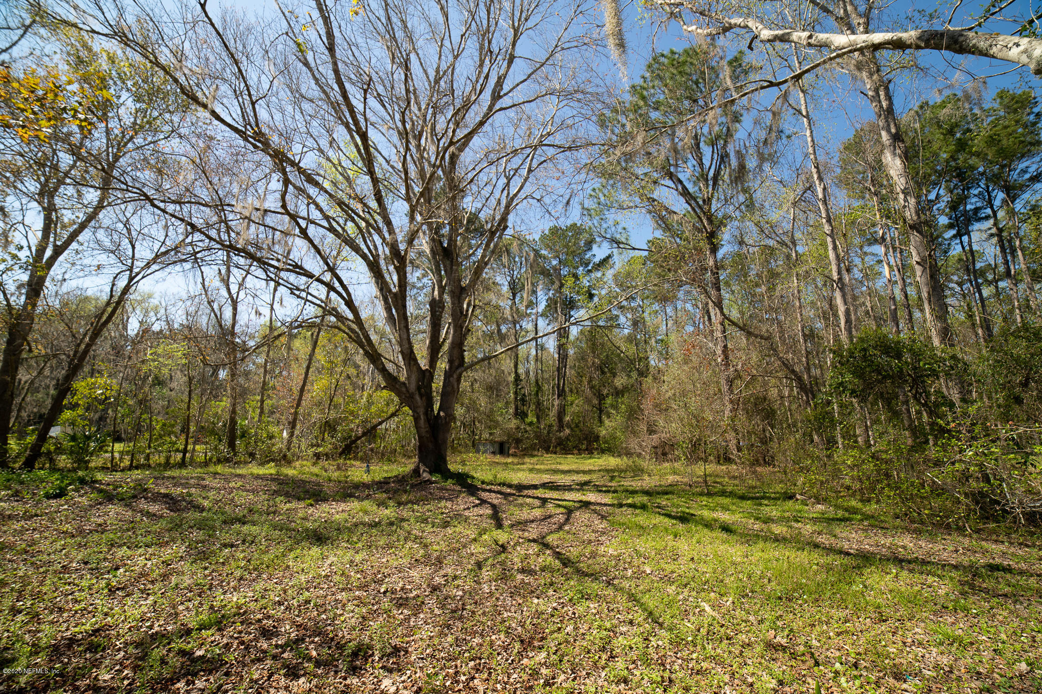 13450 Pate Road West Jacksonville, FL 32226 - Photo 10 of 11 DSC01479