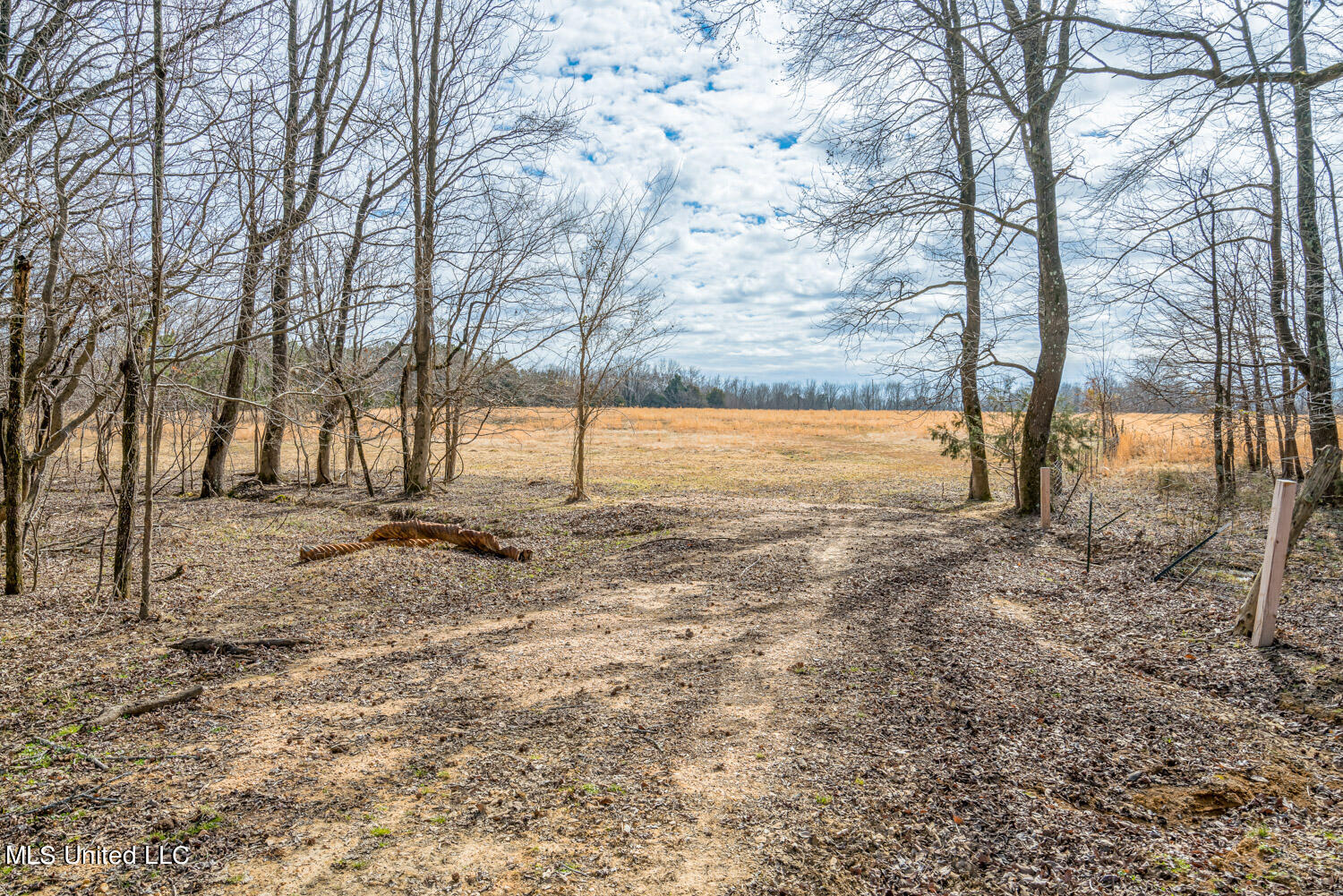 2968 Lyles Road Senatobia, MS 38668 - Photo 39 of 43 access to back pasture