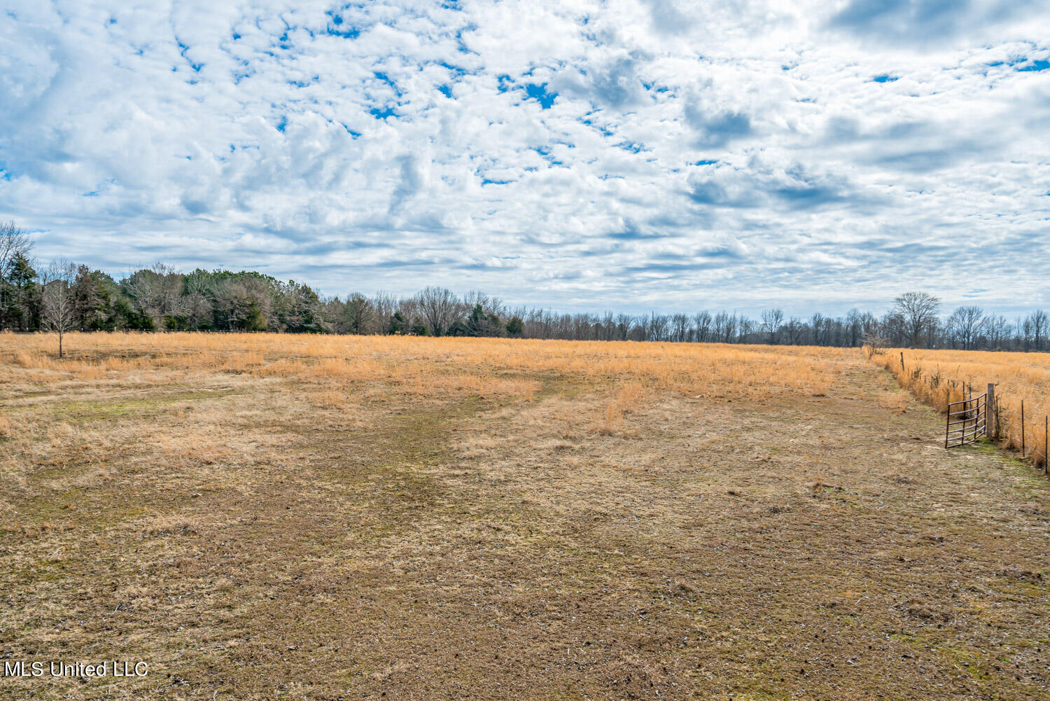 2968 Lyles Road Senatobia, MS 38668 - Photo 40 of 43 South Pasture