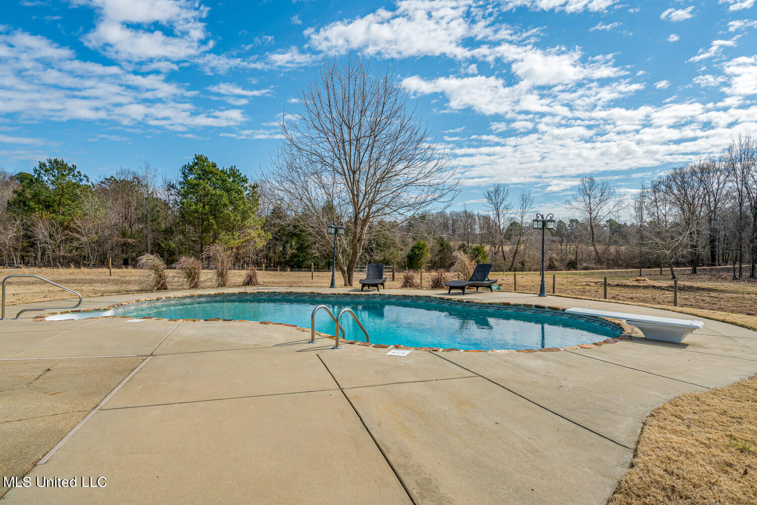 2968 Lyles Road Senatobia, MS 38668 - Photo 4 of 43 Salt-Water Pool