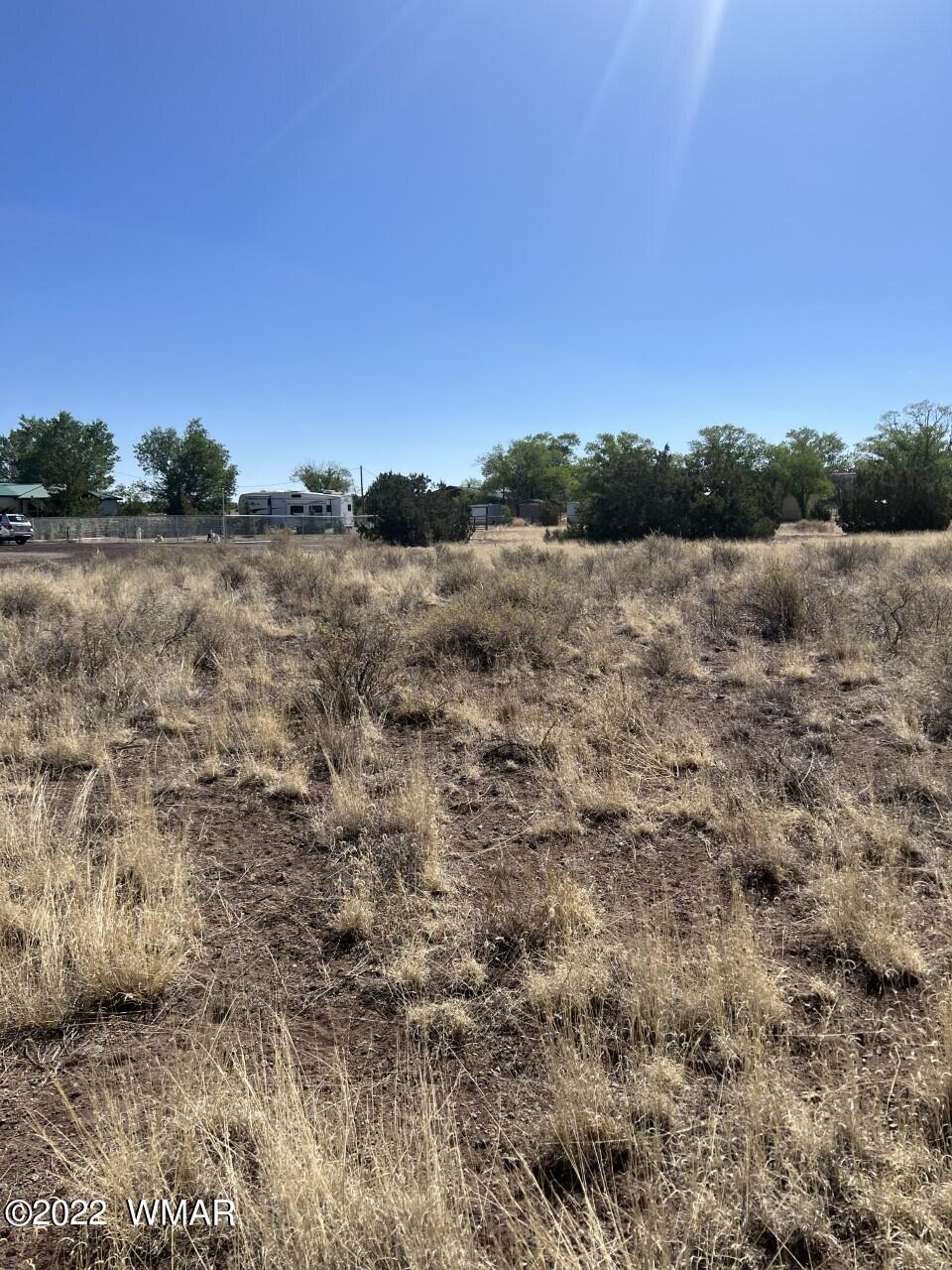 Lot 21 East Becker Lane Loop Springerville, AZ 85938 - Photo 1 of 6