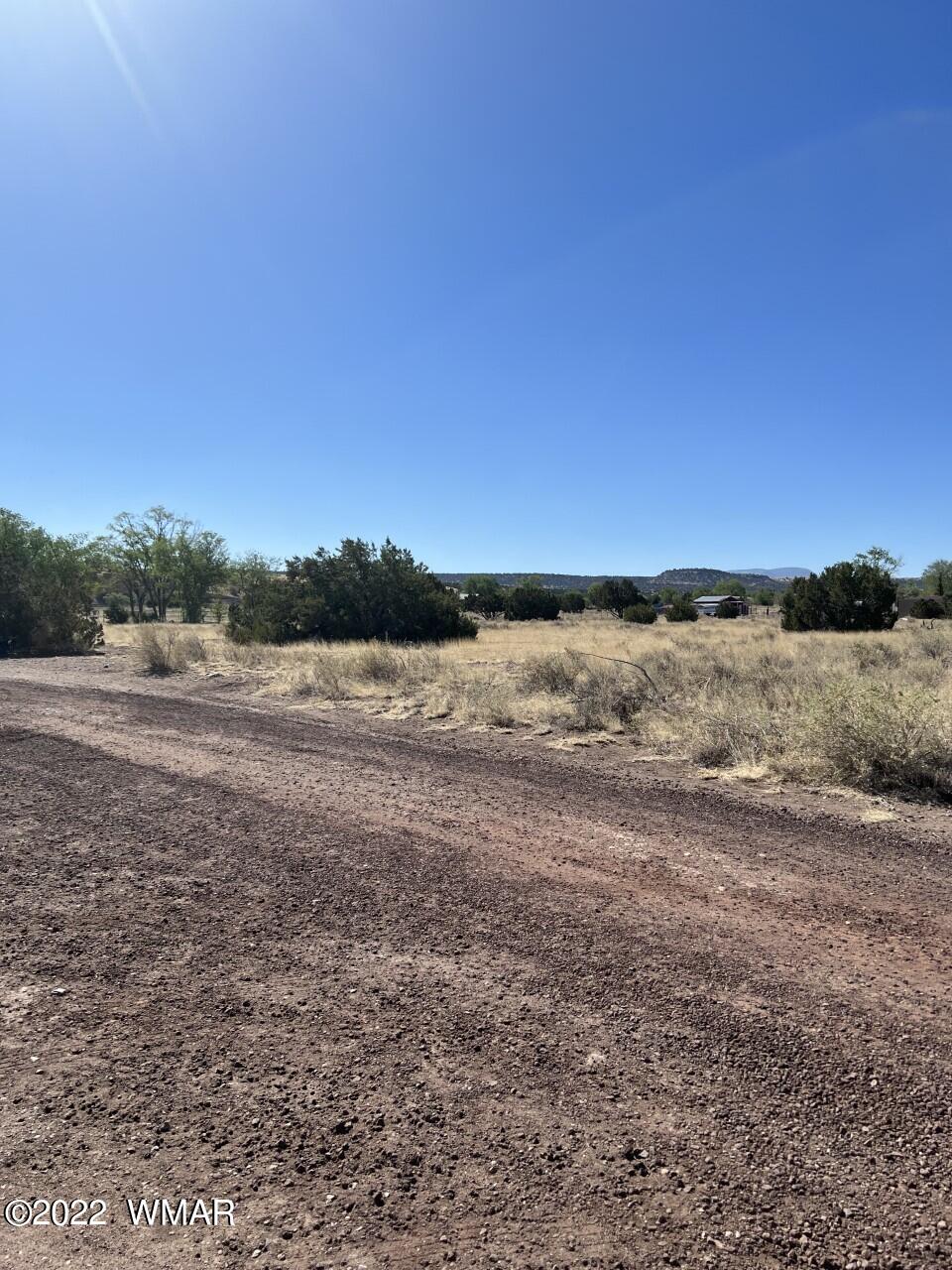 Lot 21 East Becker Lane Loop Springerville, AZ 85938 - Photo 3 of 6