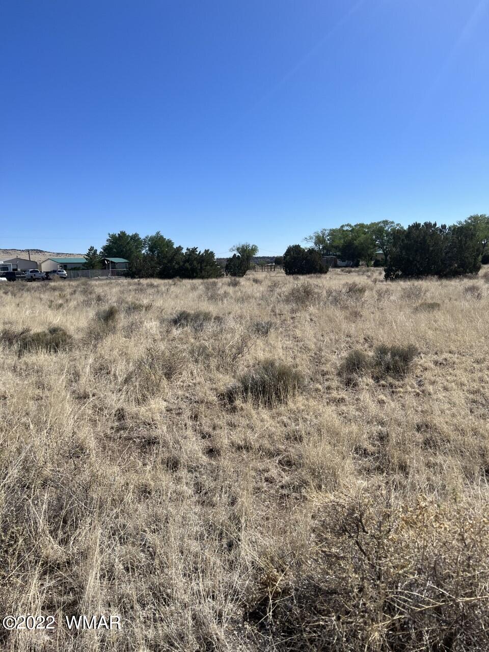 Lot 21 East Becker Lane Loop Springerville, AZ 85938 - Photo 6 of 6