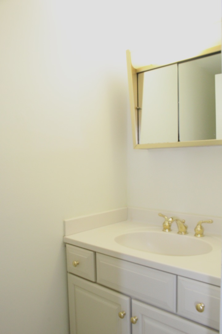 2 Timber Lane, Unit 17 Vernon Hills, IL 60061 - Photo 15 of 28 a bathroom with a sink and a vanity