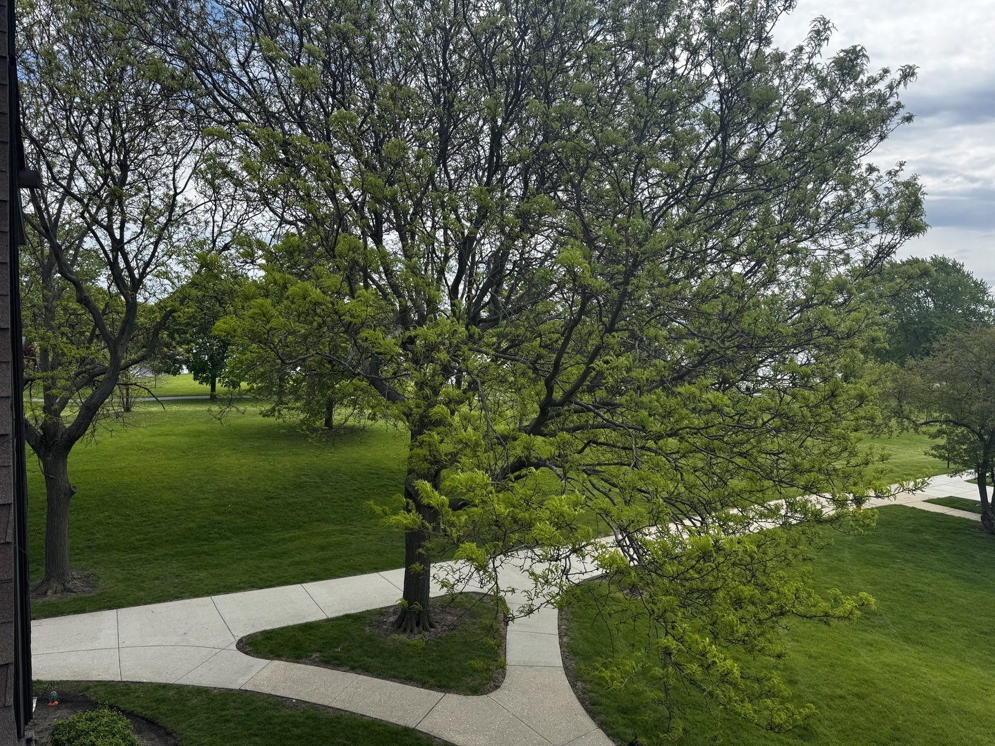 2 Timber Lane, Unit 17 Vernon Hills, IL 60061 - Photo 28 of 28 a view of a garden with a tree