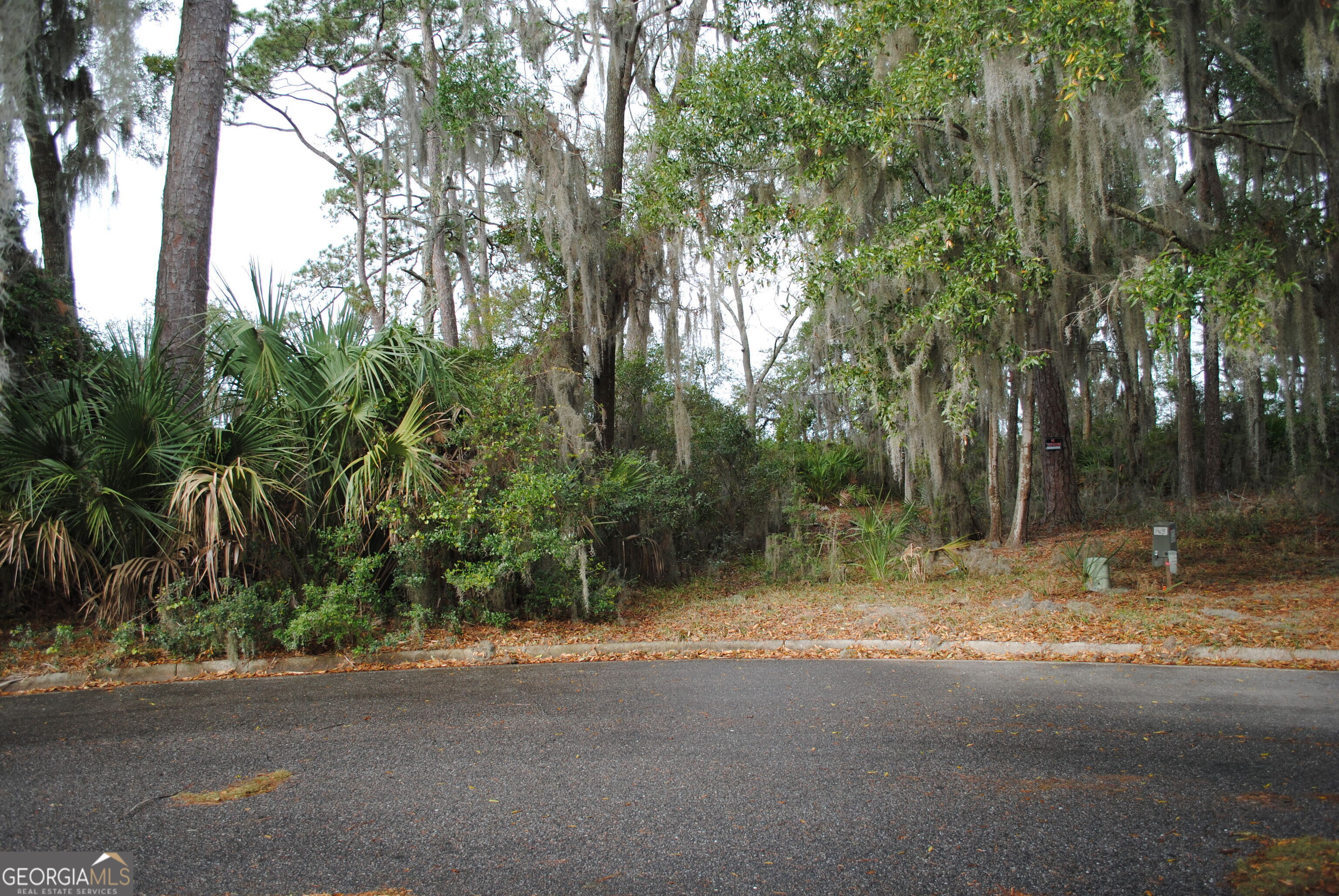 5 Sherborne Lane Savannah, GA 31419 - Photo 1 of 1 a view of tree