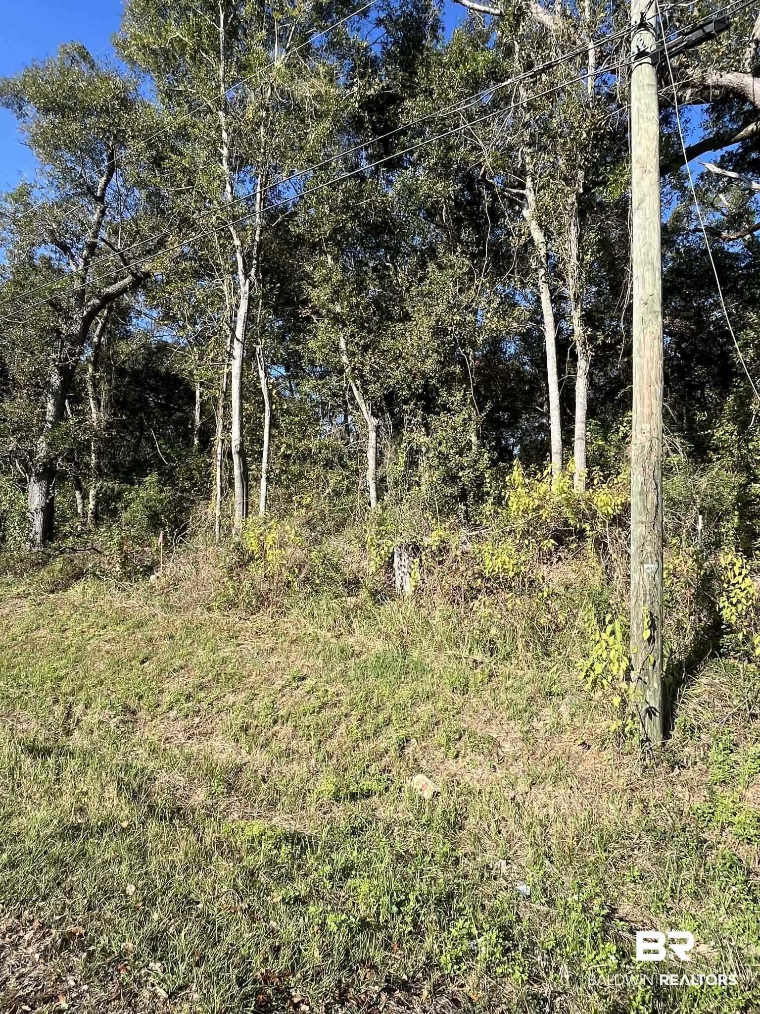 6475 Todd Acres Drive Theodore, AL 36582 - Photo 1 of 2 View of local wilderness