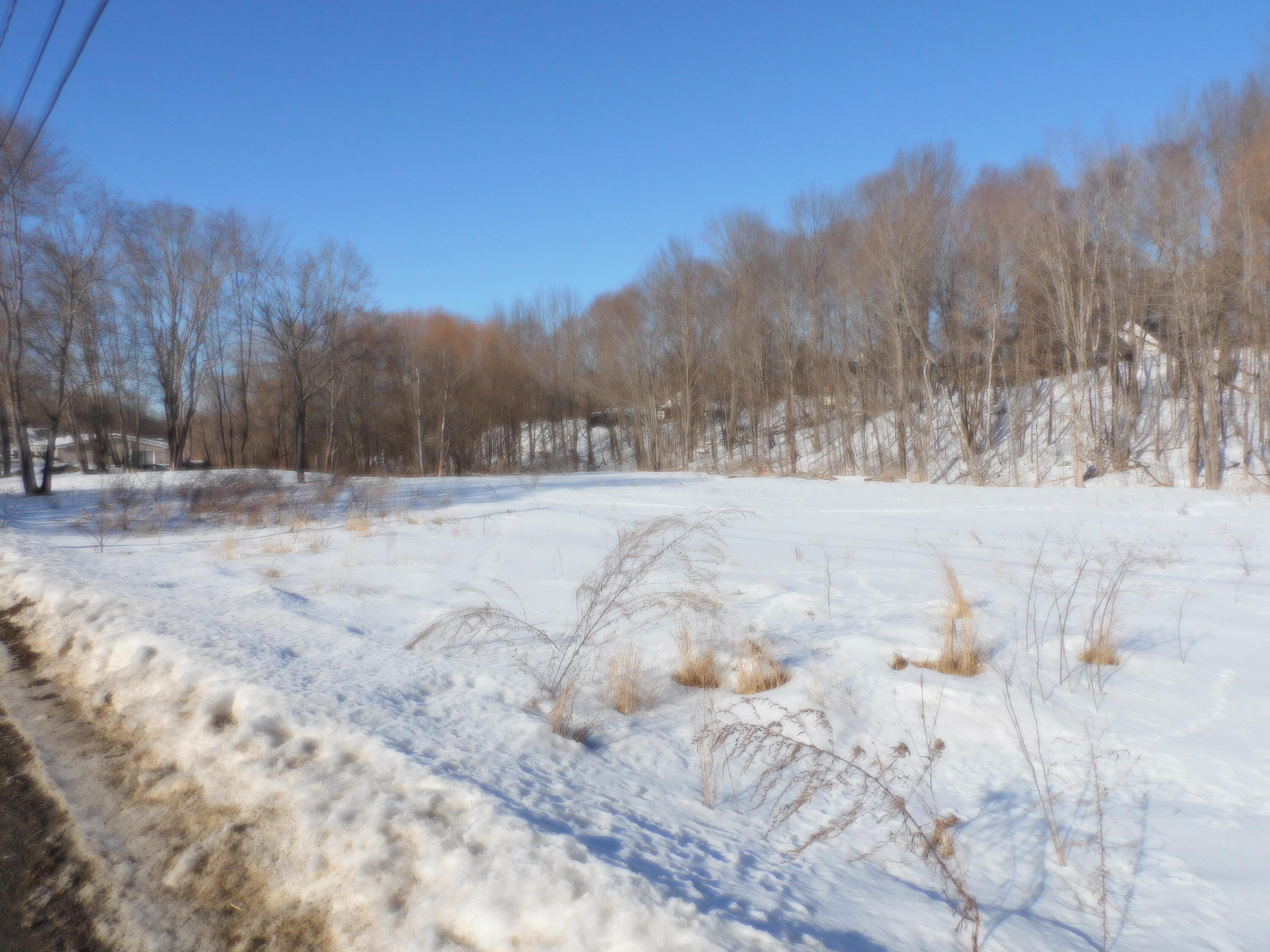 44 Boardman Street Calais, ME 04619 - Photo 3 of 4 DSCN0234