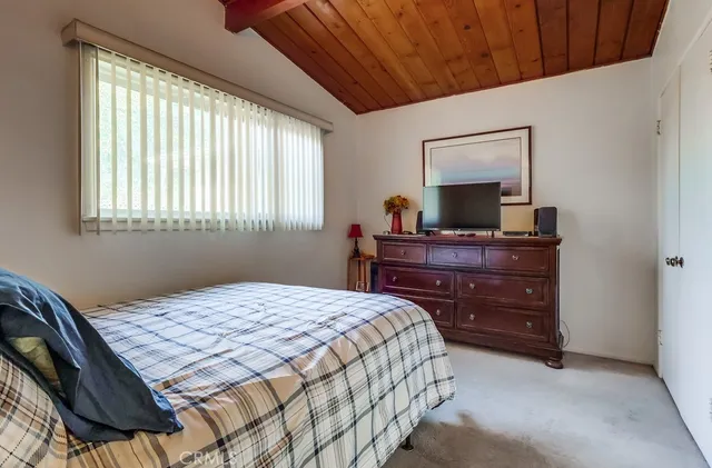 a view of a backyard with a garden and plants