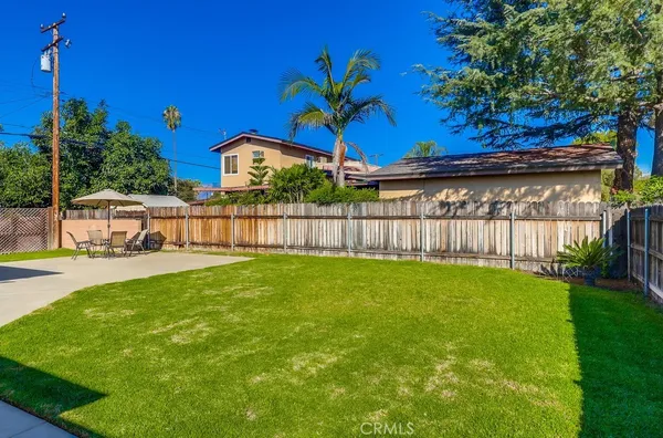 a view of a yard with a tree