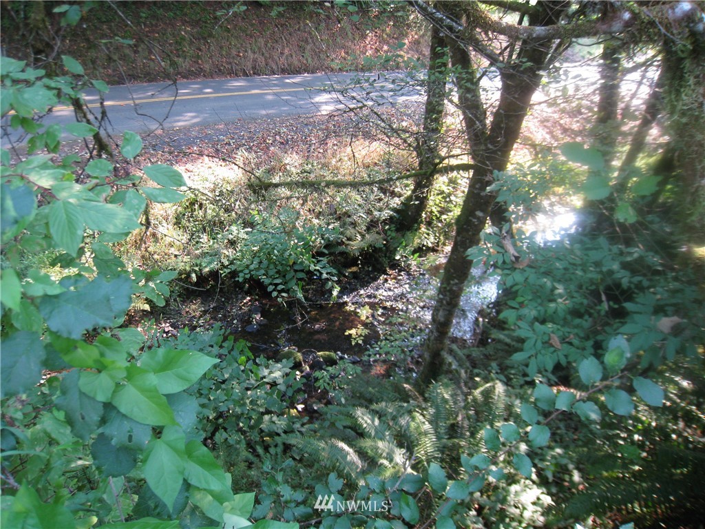 301 Clark Creek Road Longview, WA 98632 - Photo 12 of 36 Gallery Image 12
