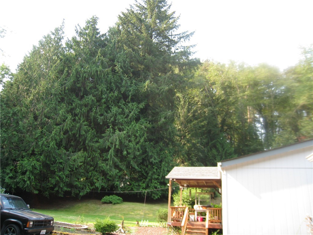 301 Clark Creek Road Longview, WA 98632 - Photo 14 of 36 Gallery Image 14