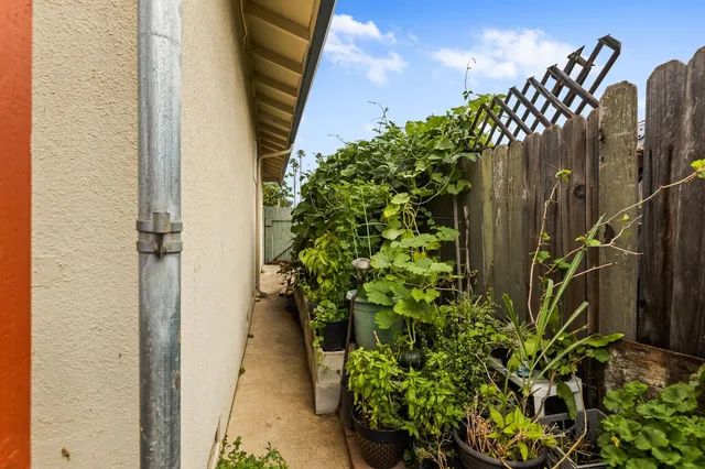 a view of a house with a flower plant