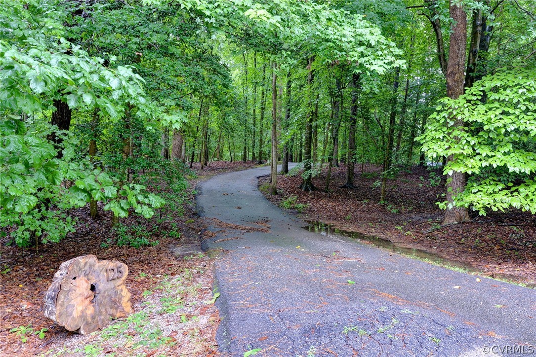 125 Rte 1601 Williamsburg, VA 23188 - Photo 6 of 46 a backyard of a house with lots of green space