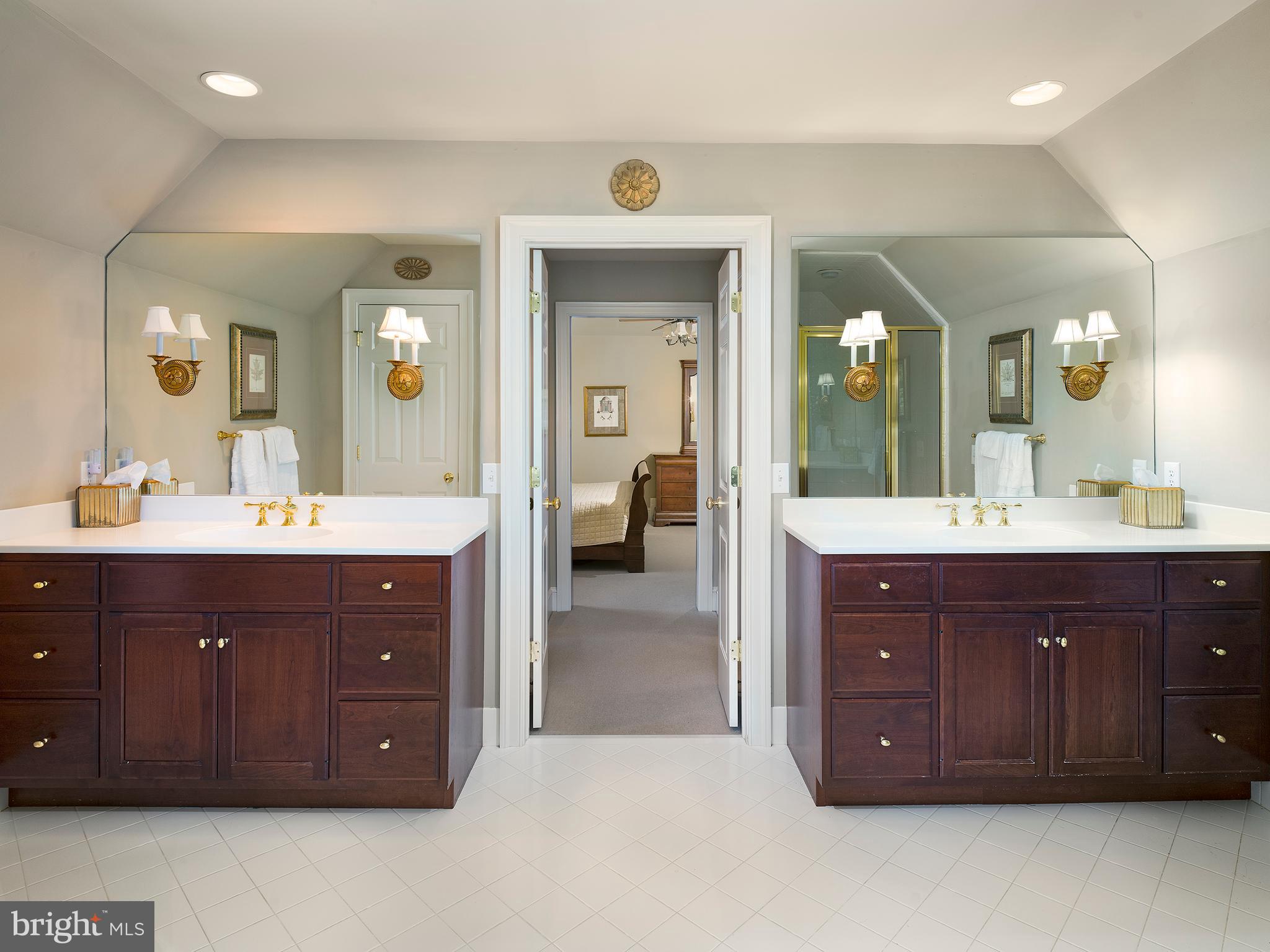 317 Applebrook Drive Malvern, PA 19355 - Photo 19 of 38 Primary Bathroom