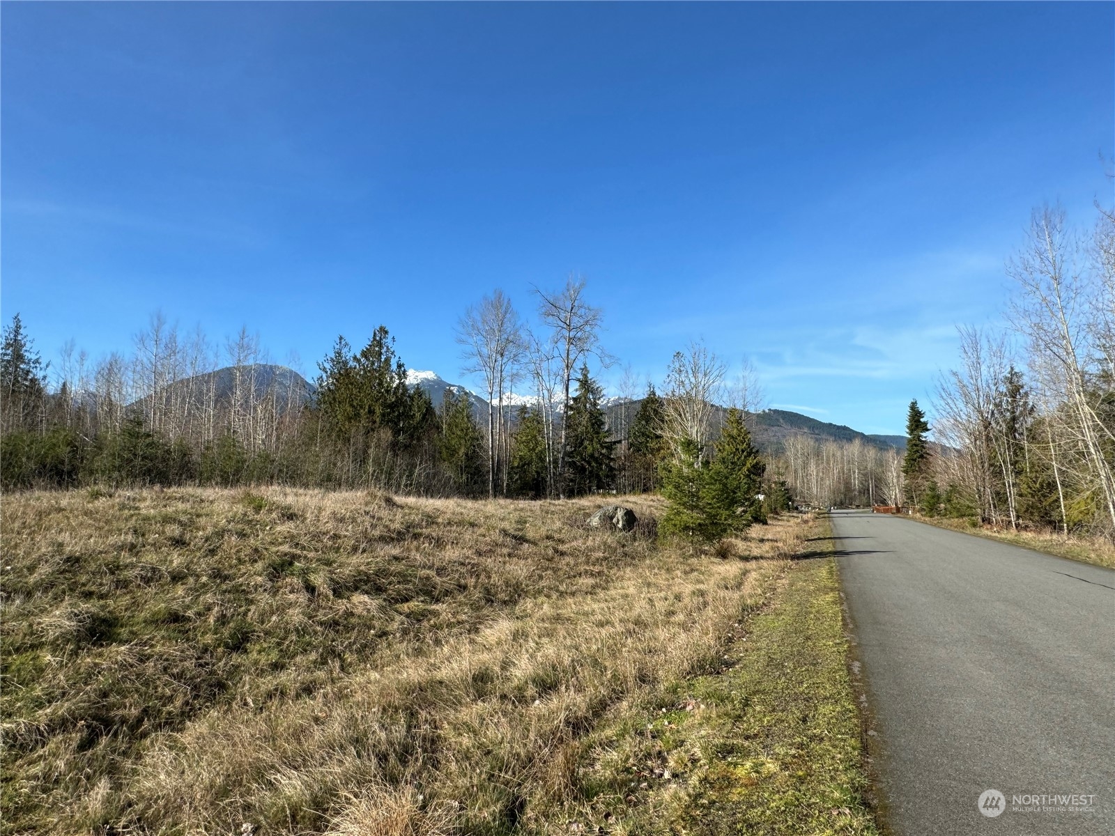 0 Grand Ridge Way Port Angeles, WA 98362 - Photo 4 of 15 Gallery Image 4