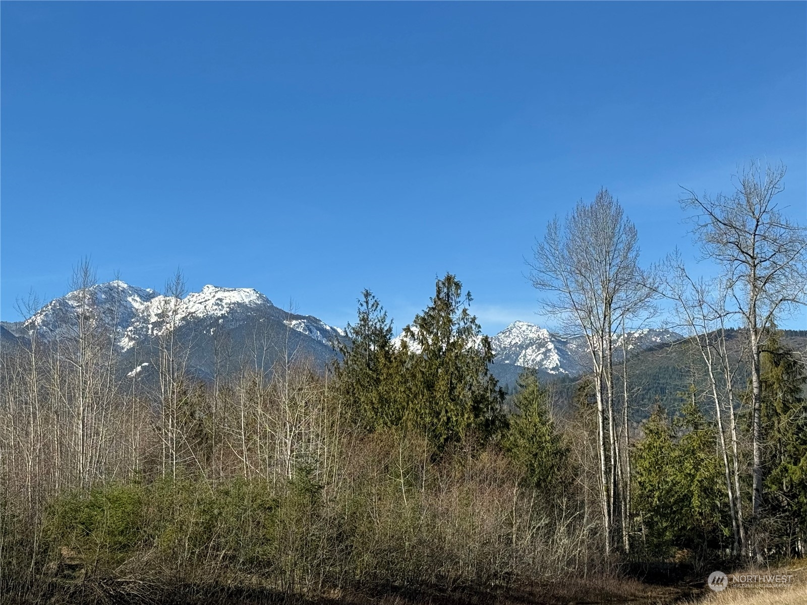 0 Grand Ridge Way Port Angeles, WA 98362 - Photo 6 of 15 Gallery Image 6