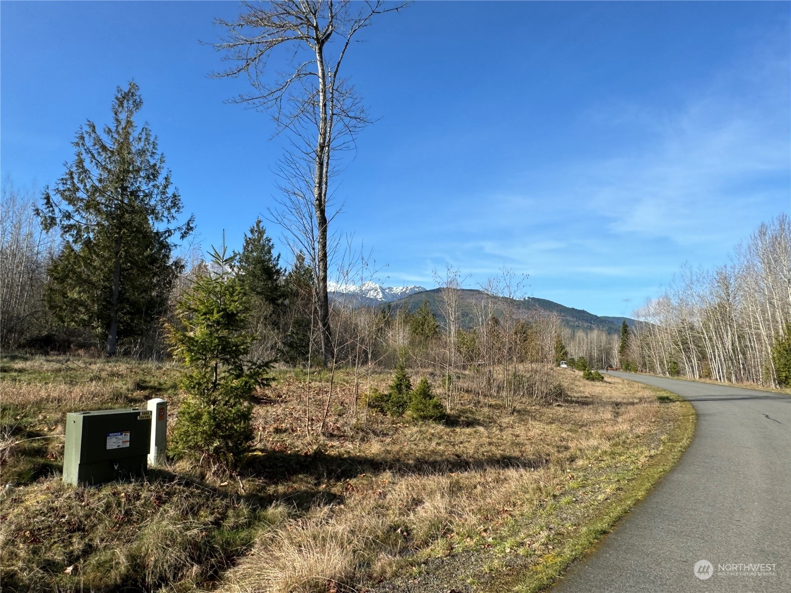 0 Grand Ridge Way Port Angeles, WA 98362 - Photo 9 of 15 Gallery Image 9
