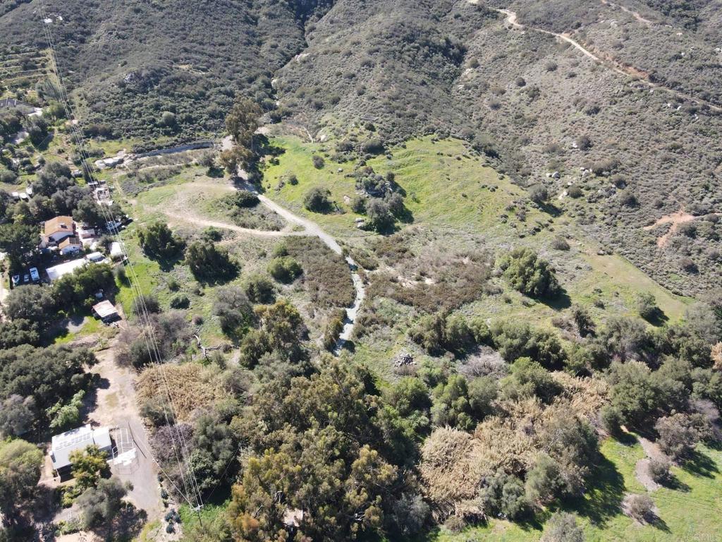 a view of a bunch of flowers and trees