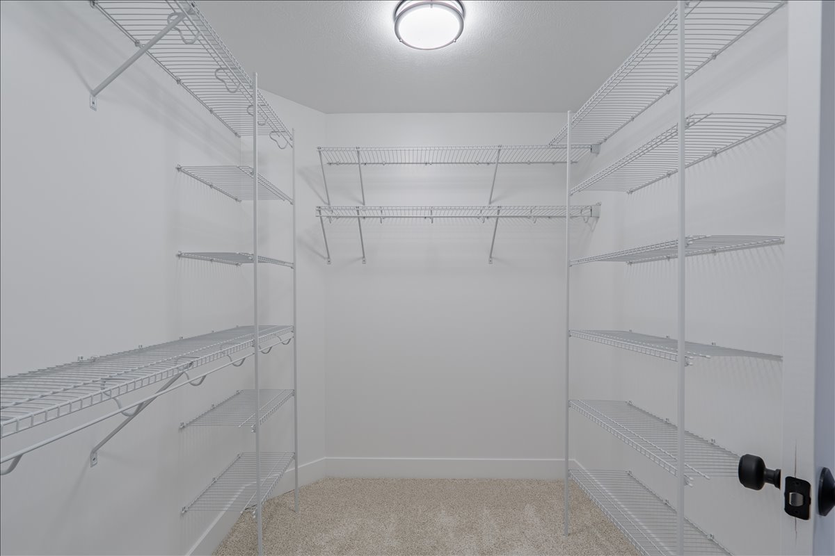 5206 Finlen Lane Bloomington, IL 61705 - Photo 19 of 40 a view of a walk in closet