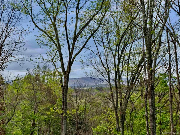 a view of a tree in a yard