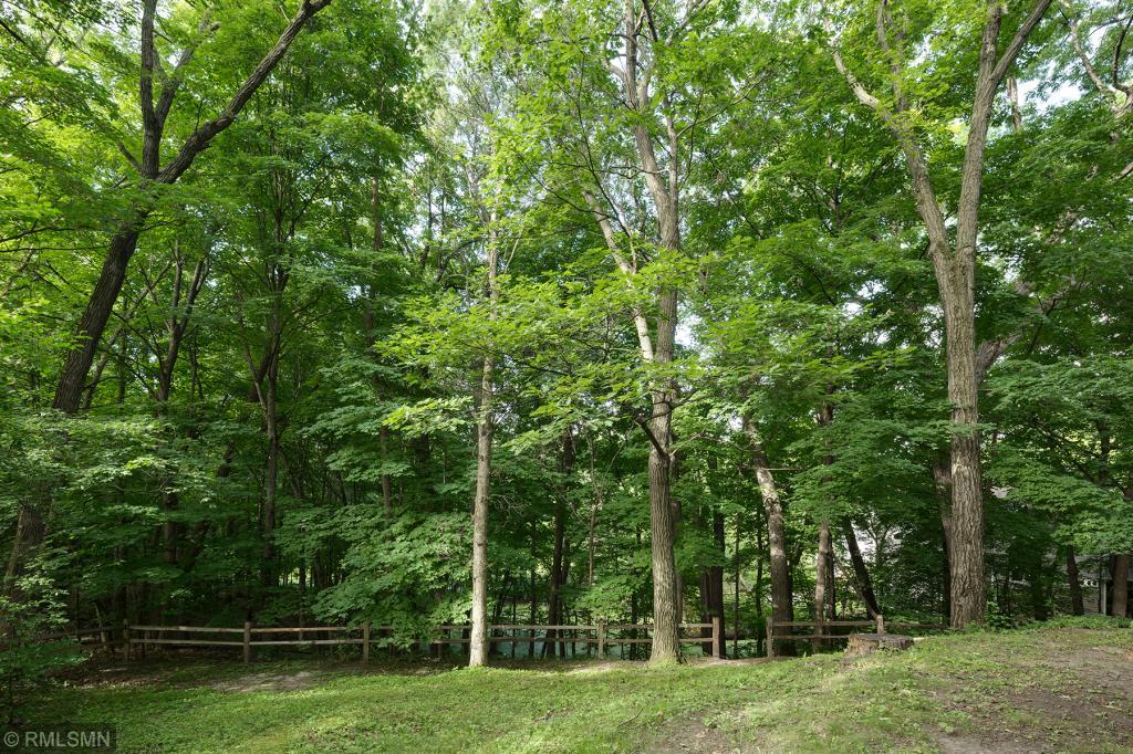19555 Manor Road Deephaven, MN 55331 - Photo 22 of 23 Gallery Image 22