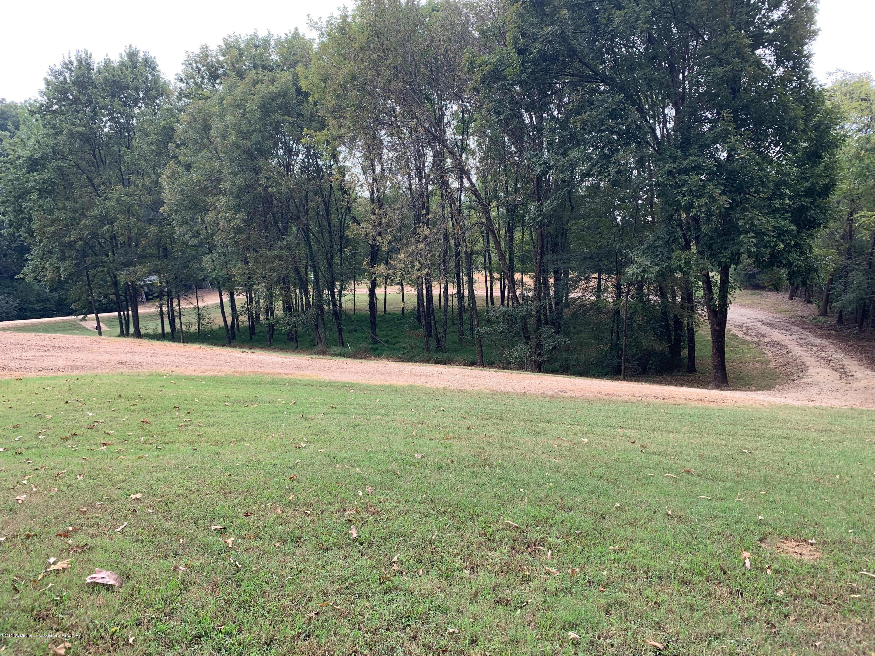 701 Gaines Road Hernando, MS 38632 - Photo 19 of 20 circluar drive