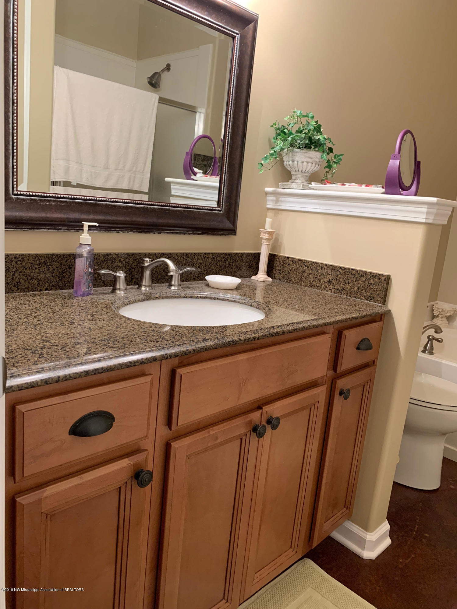 701 Gaines Road Hernando, MS 38632 - Photo 9 of 20 master bath