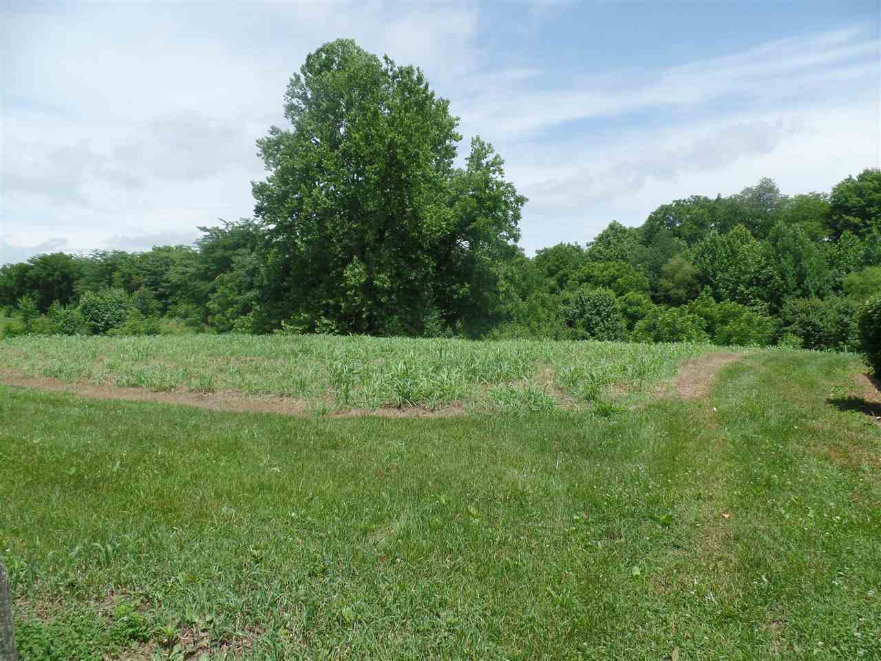 South Walnut Grove Road Bloomfield, IN 47424 - Photo 4 of 5