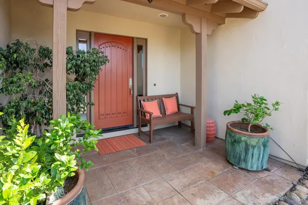 a potted plant sitting in front of a house