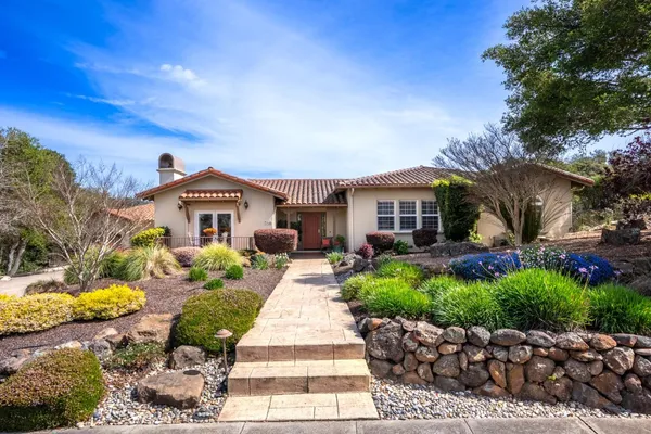 a view of a room with wooden floor and a potted plant
