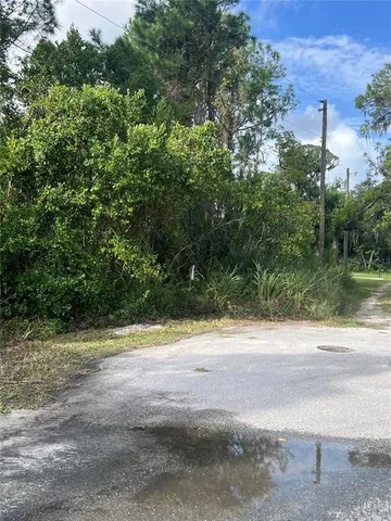 a view of a yard and a road