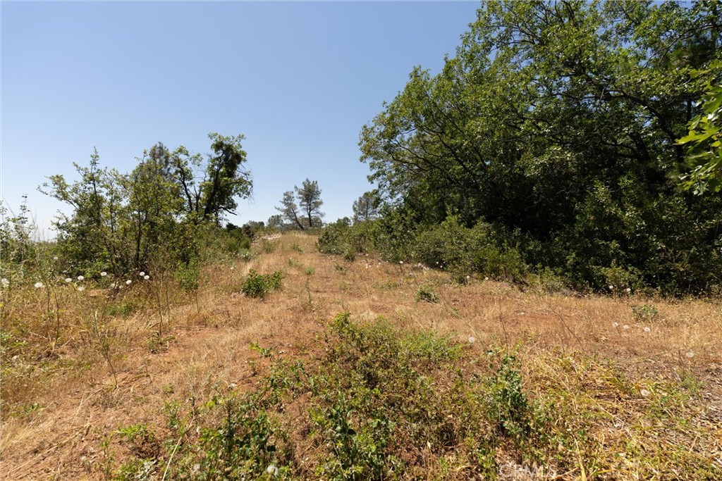 0 Doe Mill Road Forest Ranch, CA 95942 - Photo 17 of 50