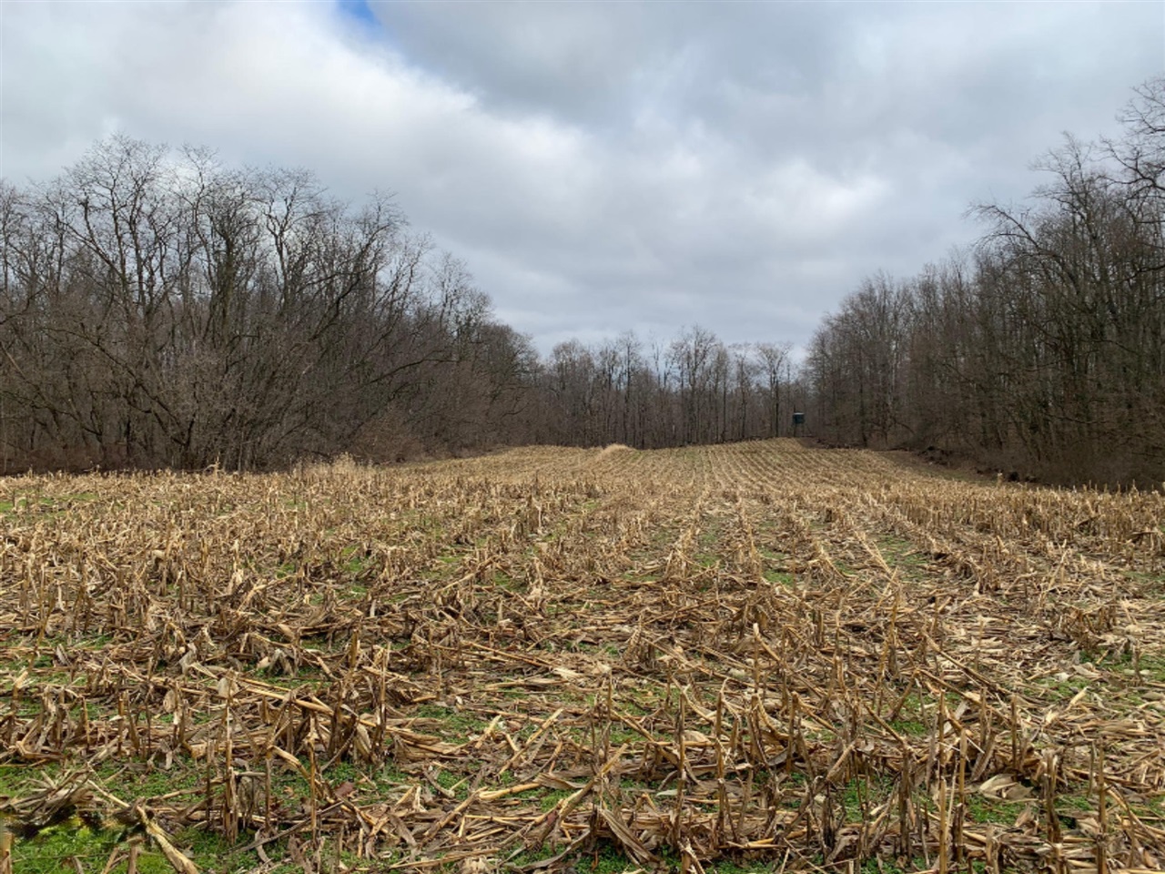 60 Ball Road Dowagiac, MI 49047 - Photo 43 of 61