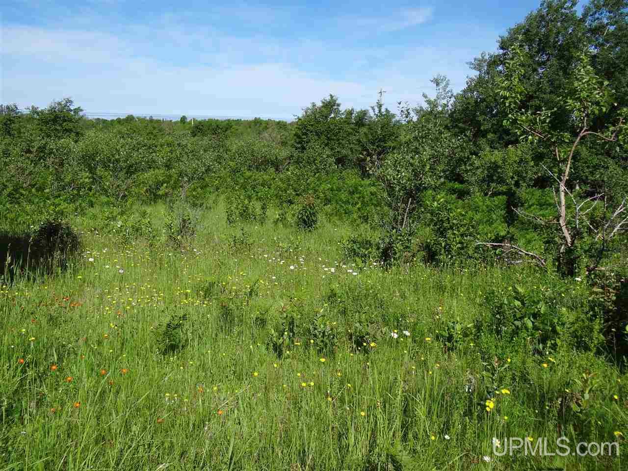 Tbd Sedar Hill Road Calumet, MI 49913 - Photo 13 of 21
