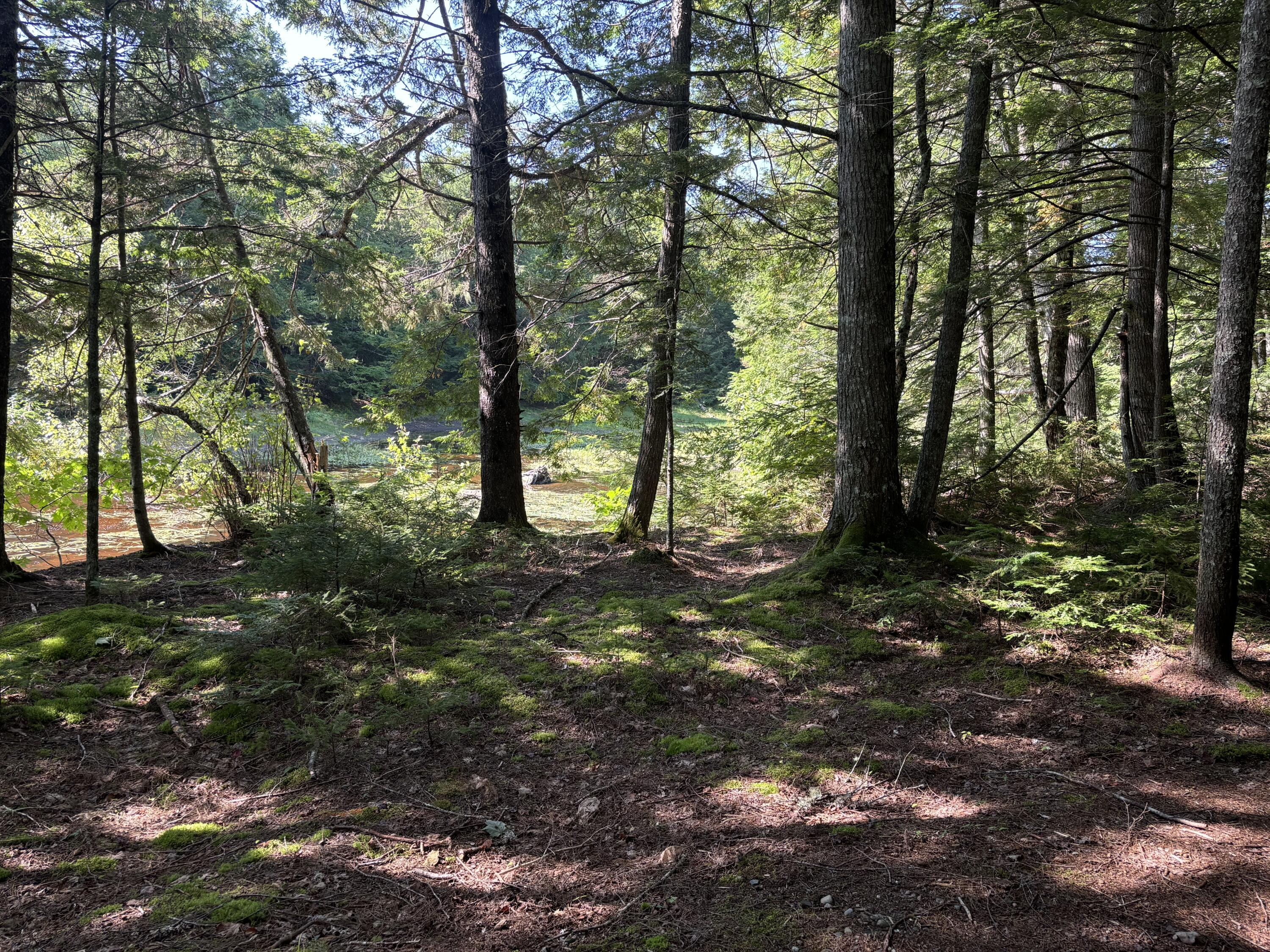 4 Tee Road Ellsworth, ME 04605 - Photo 28 of 38 Common Path