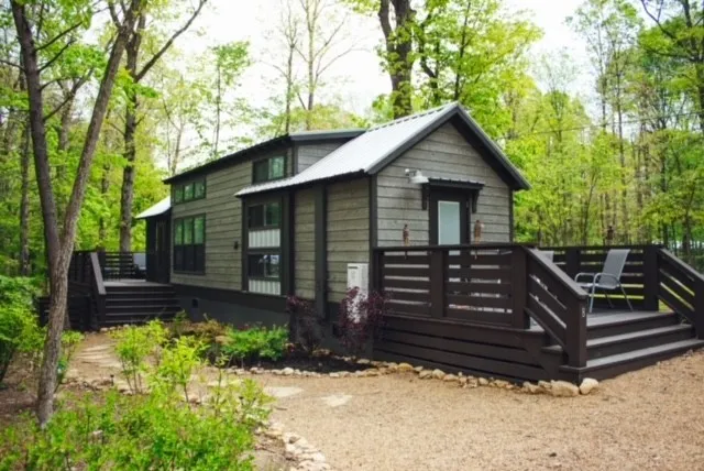a view of a house with a small yard and a large tree