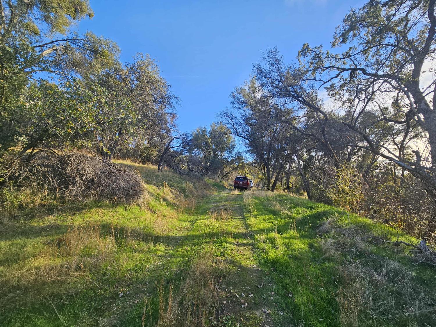 58111 Lark Lane North Fork, CA 93643 - Photo 2 of 28 a view of swimming pool from a yard
