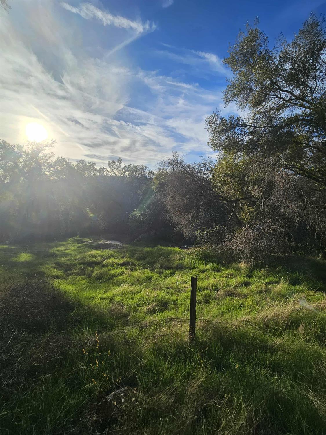 58111 Lark Lane North Fork, CA 93643 - Photo 23 of 28 a view of outdoor space and yard