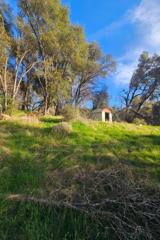 58111 Lark Lane North Fork, CA 93643 - Photo 27 of 28 a backyard of a house with lots of green space