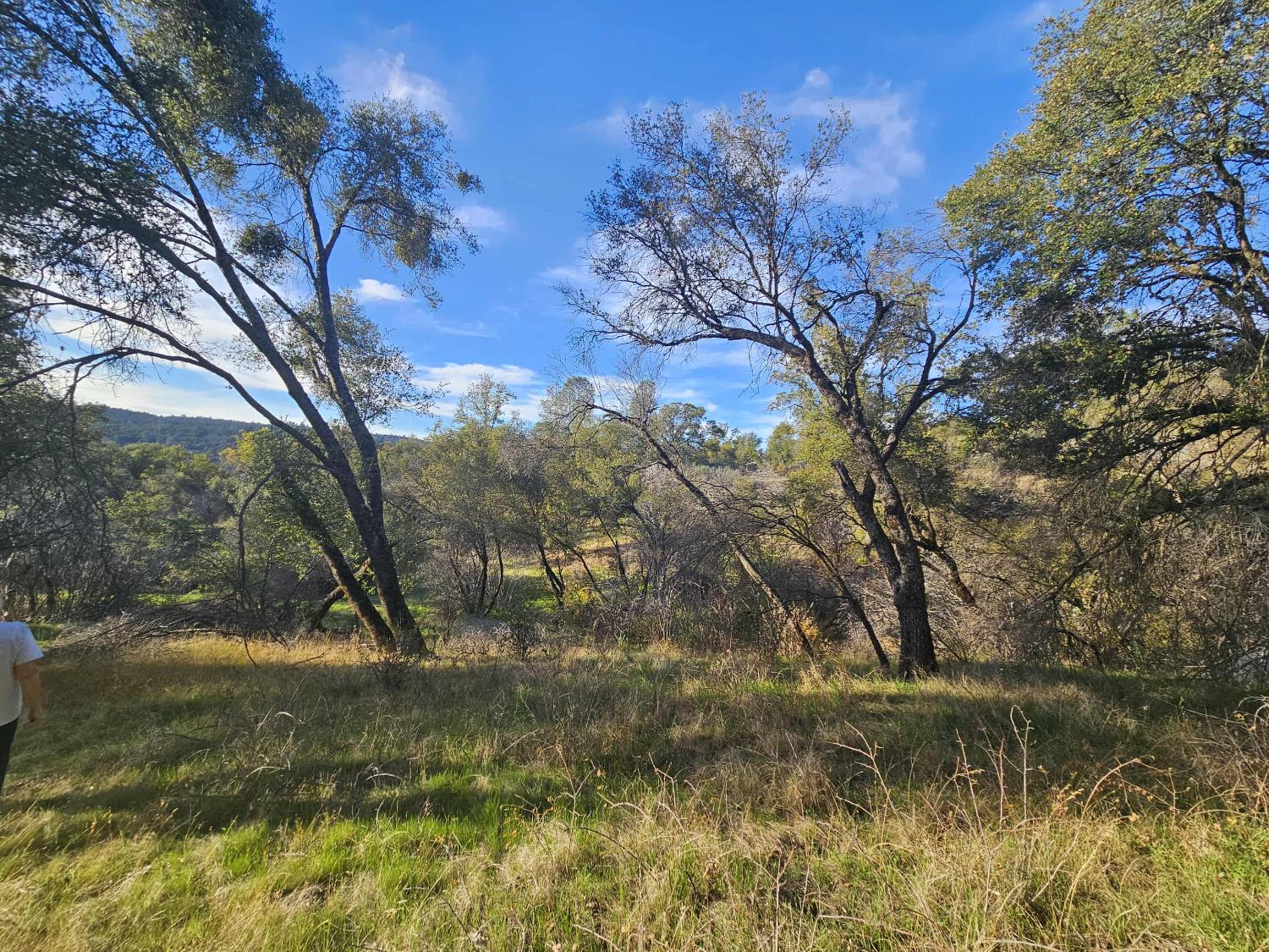 58111 Lark Lane North Fork, CA 93643 - Photo 3 of 28 a view of mountain covered with green space