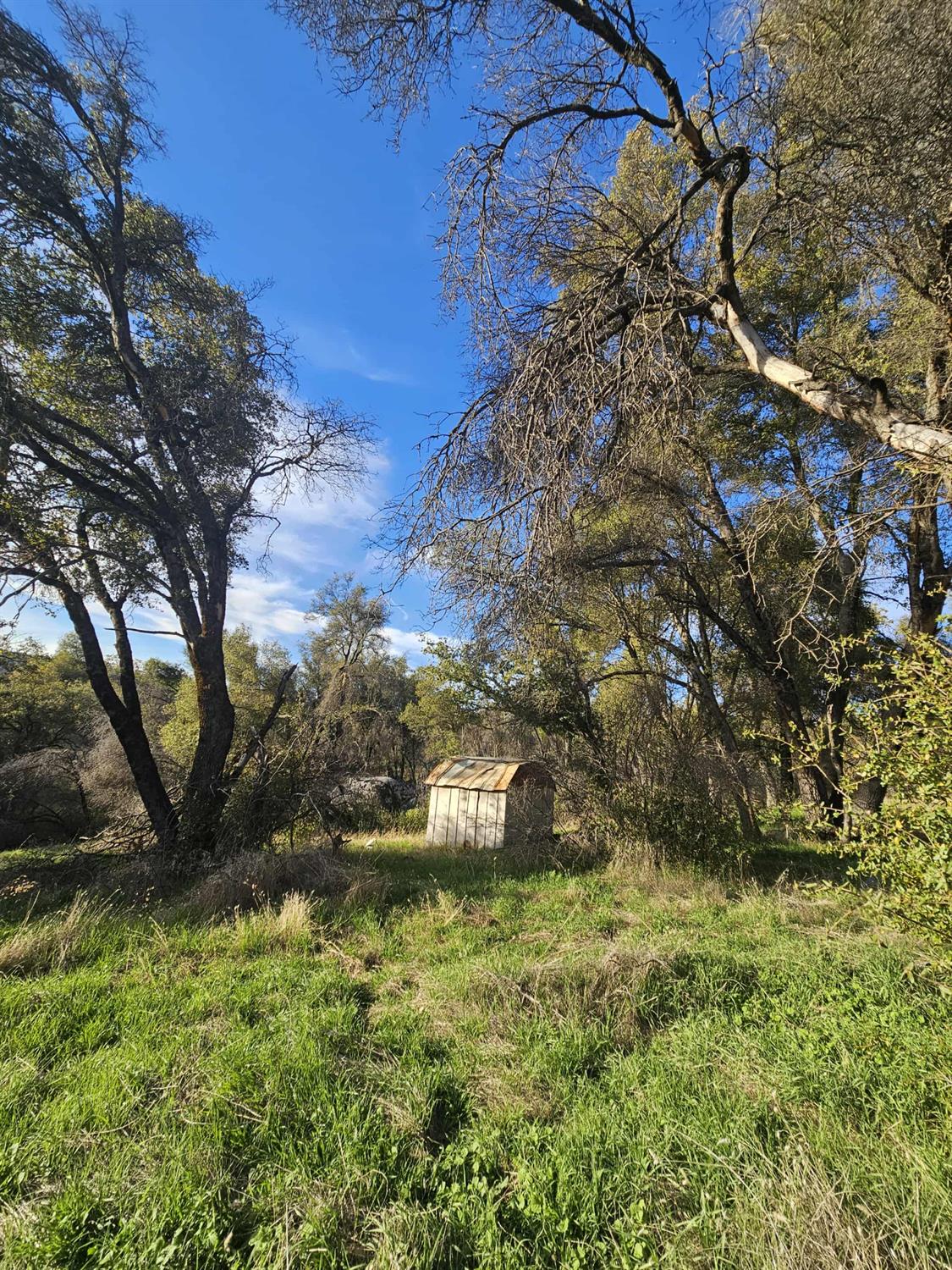 58111 Lark Lane North Fork, CA 93643 - Photo 7 of 28 a green field with some trees in the background