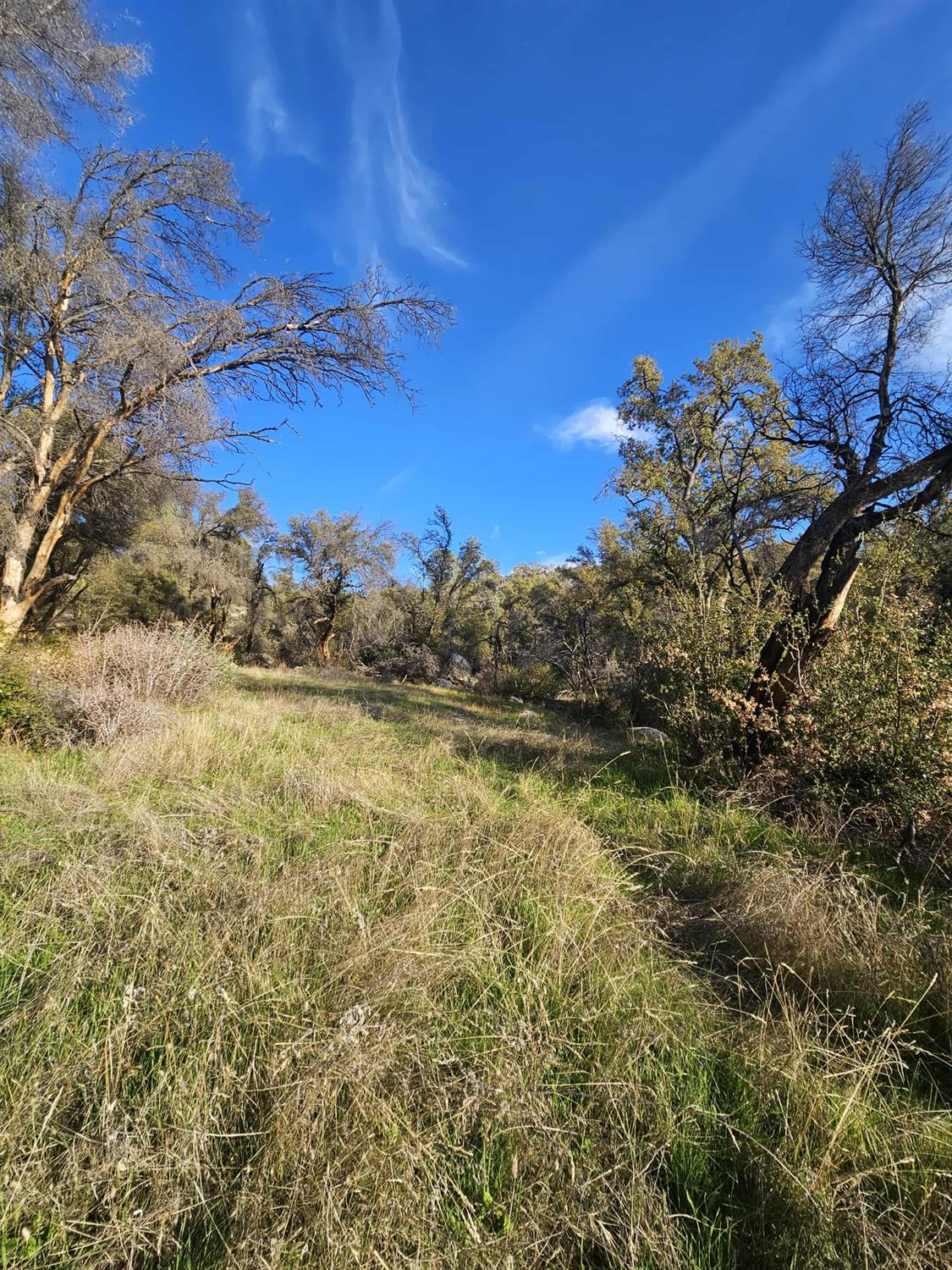 58111 Lark Lane North Fork, CA 93643 - Photo 10 of 28 a view of lake